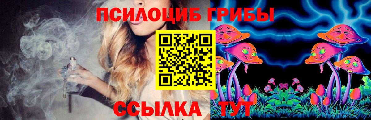 Галлюциногенные грибы Magic Shrooms  где продают   Галлюциногенные грибы Psilocybe  Химки  Вход с VPN 